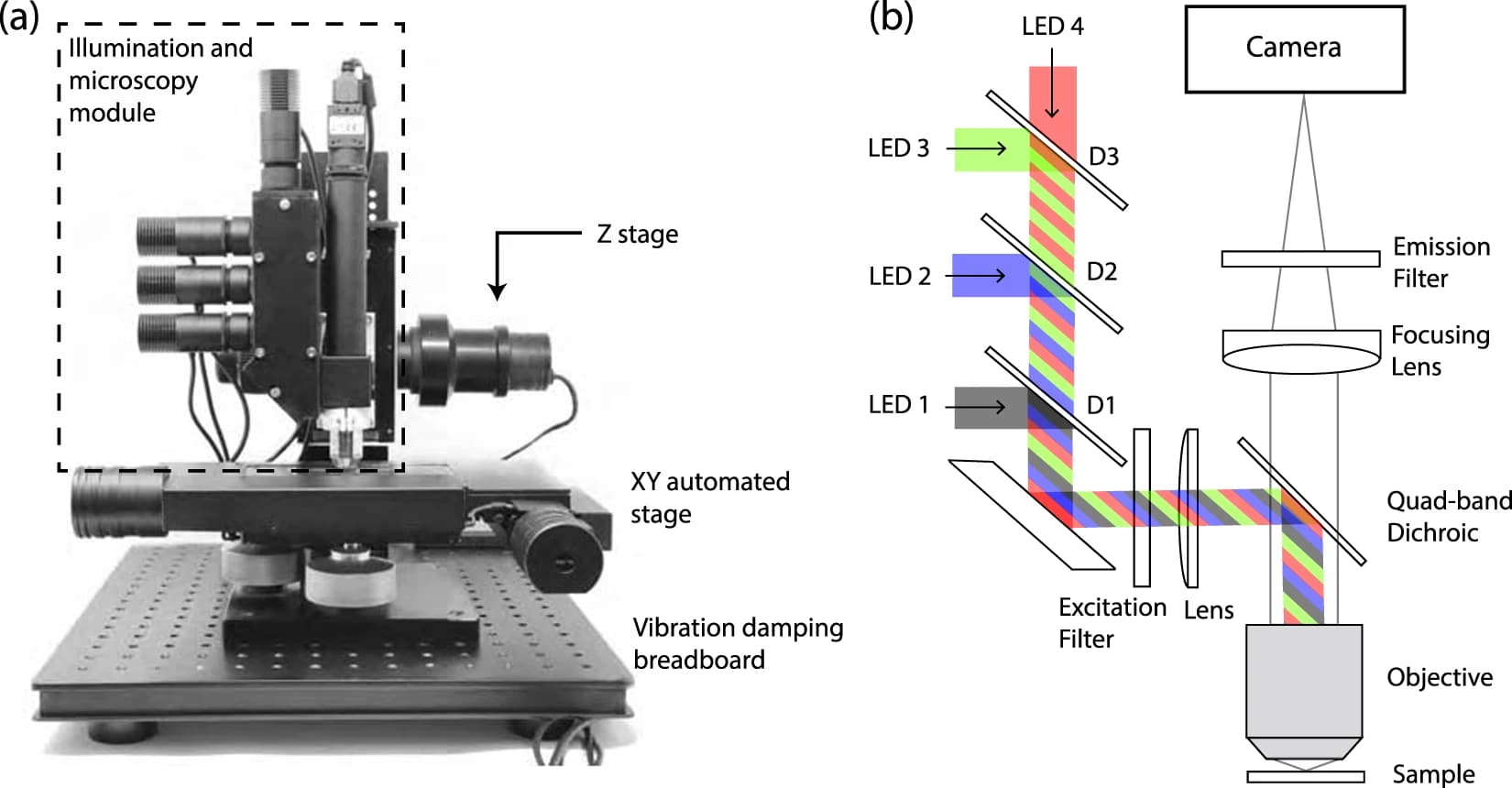 Illumination and microscopy module