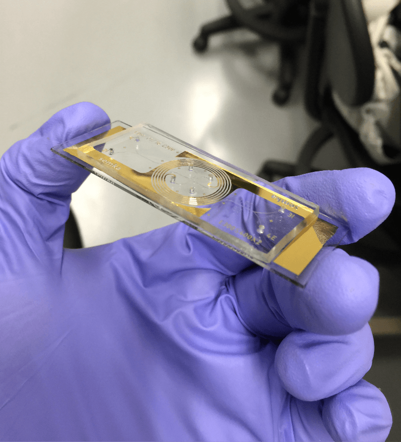 Gloved hand holding gold microfluidic chip